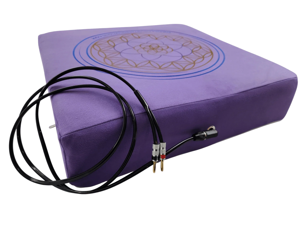 Vibroacoustic Therapy Meditation Cushion bundle with custom amplifier